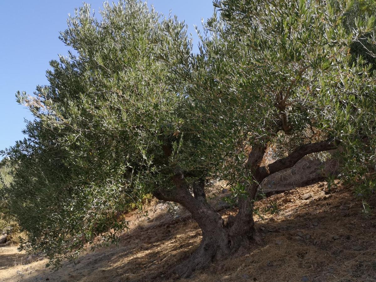 Villa Lir Tholos  エクステリア 写真